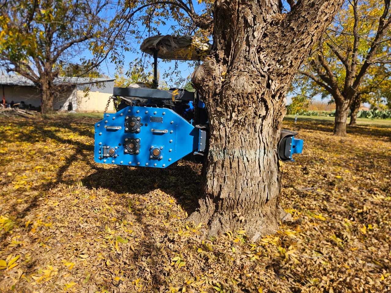 SMJ tree shaker head clamped on a pecan tree trunk in the orchard